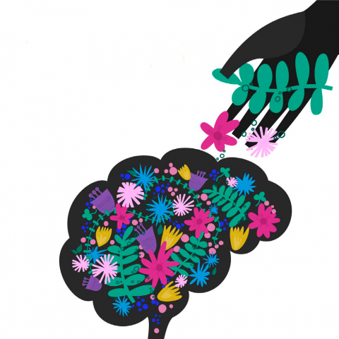 Consejos para los pastores y la iglesia