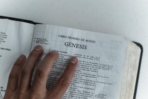 estrategias